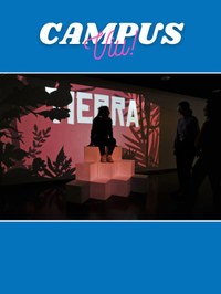 Projecció de micromapping