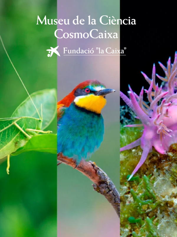 Cosmonits biodiversitat