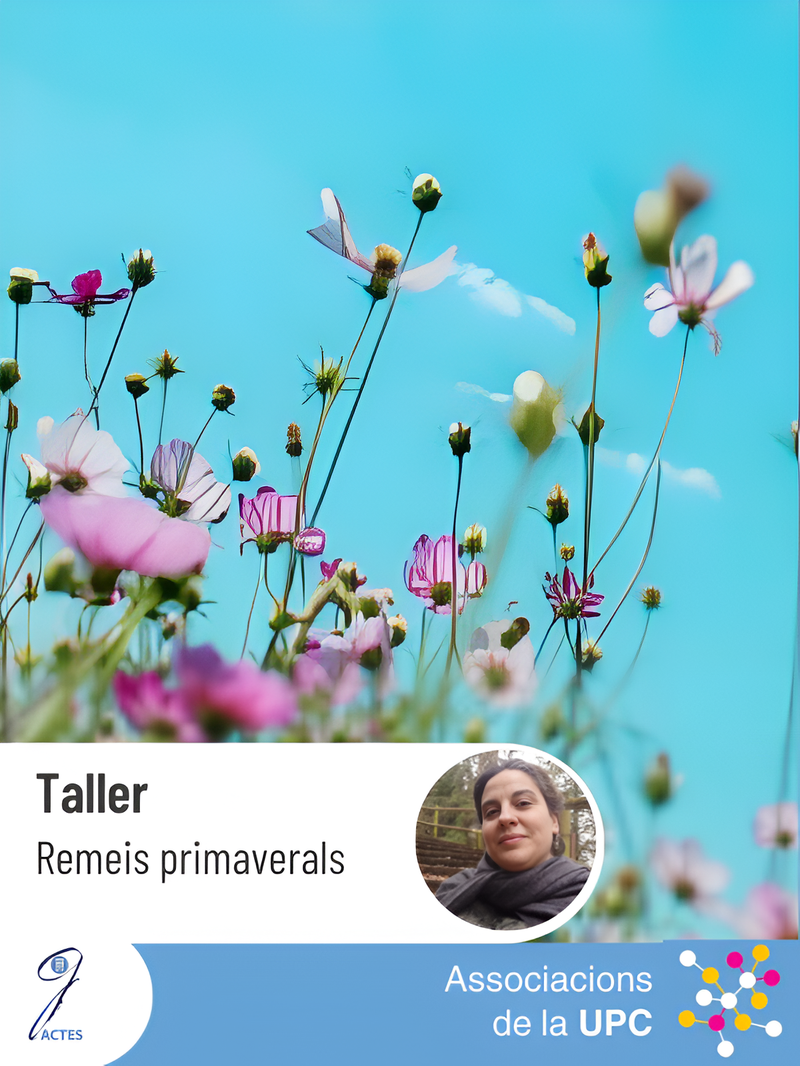 Taller: Remeis primaverals