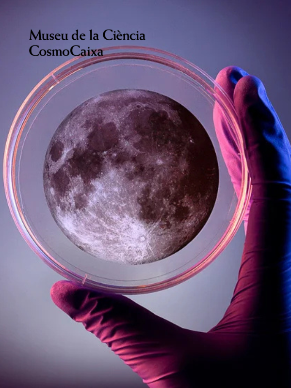 La nit de la recerca
