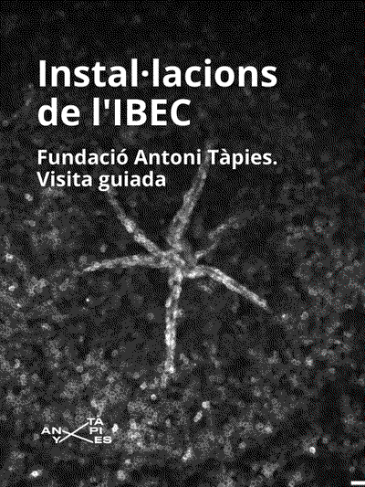 Visita a les instal·lacions de l'IBEC